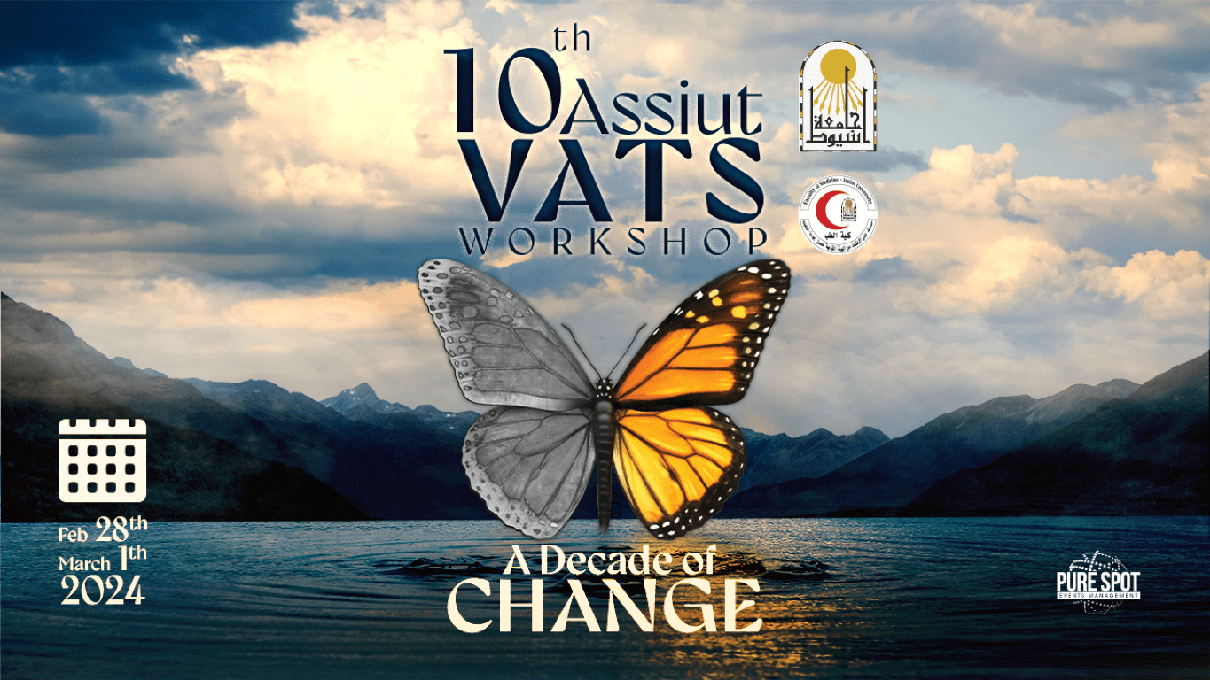 10th Assiut VATS workshop